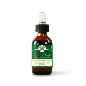 Fase 1 Trittico Mary Rose