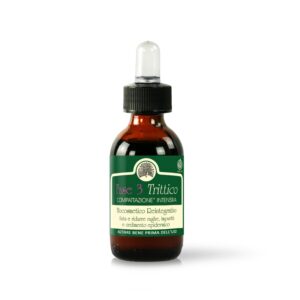 Fase 3 Trittico Mary Rose