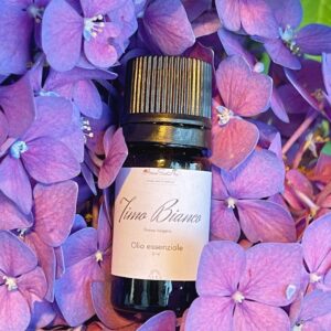 Olio essenziale di Timo Bianco