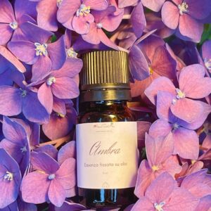 Essenza fissata su olio all'Ambra