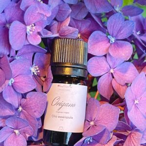 Olio essenziale di Origano