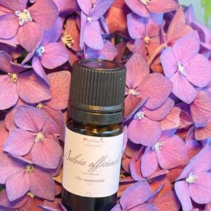 Olio essenziale di Salvia