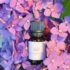 Essenza fissata su olio alla Viola