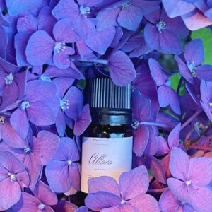 Olio essenziale di Alloro