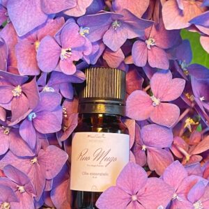 Olio essenziale di Pino Mugo